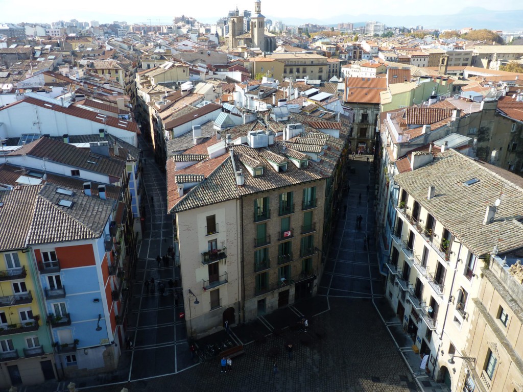 Vista de Pamplona desde la Catedral